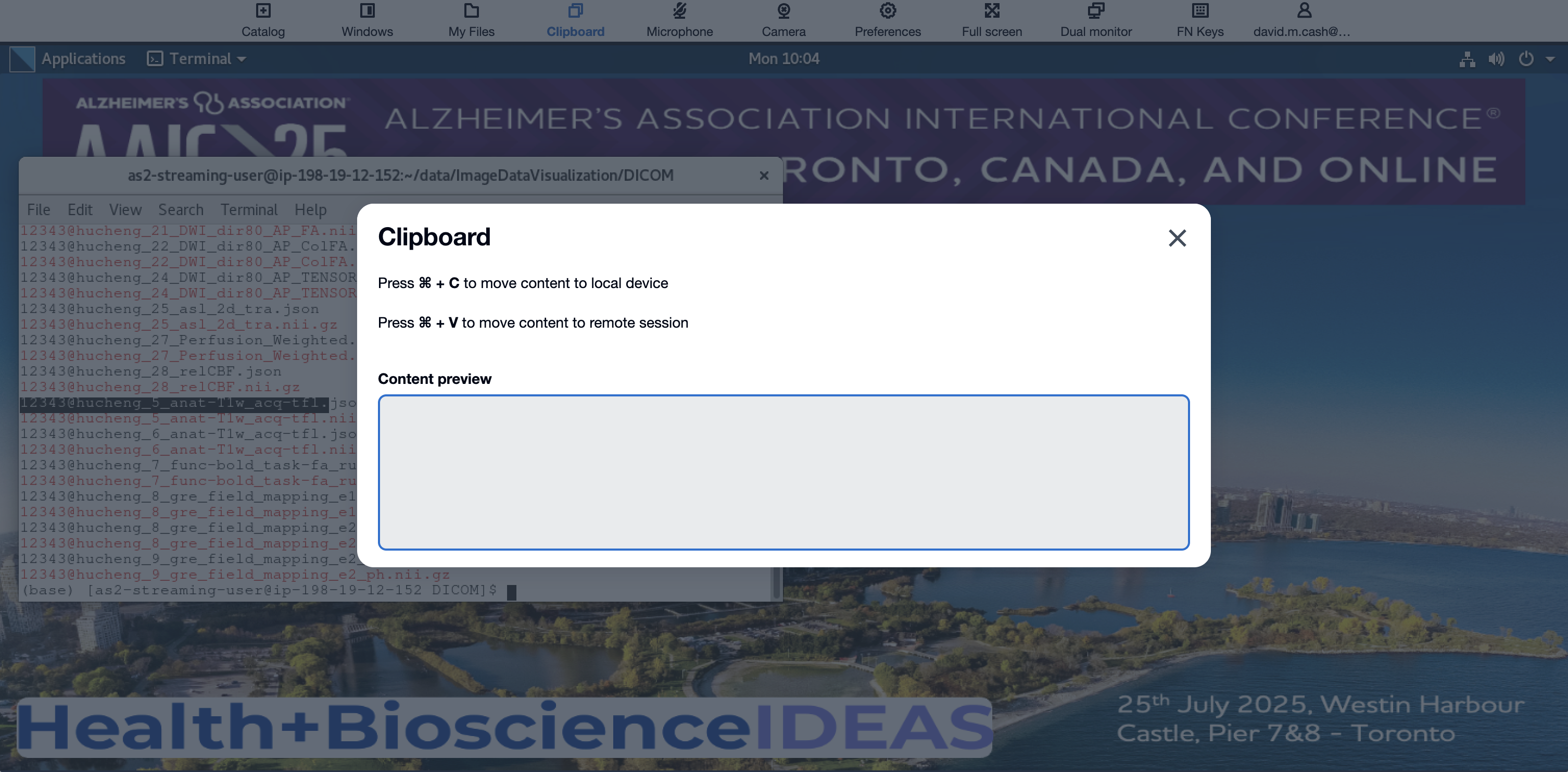 Clipboard dialog box