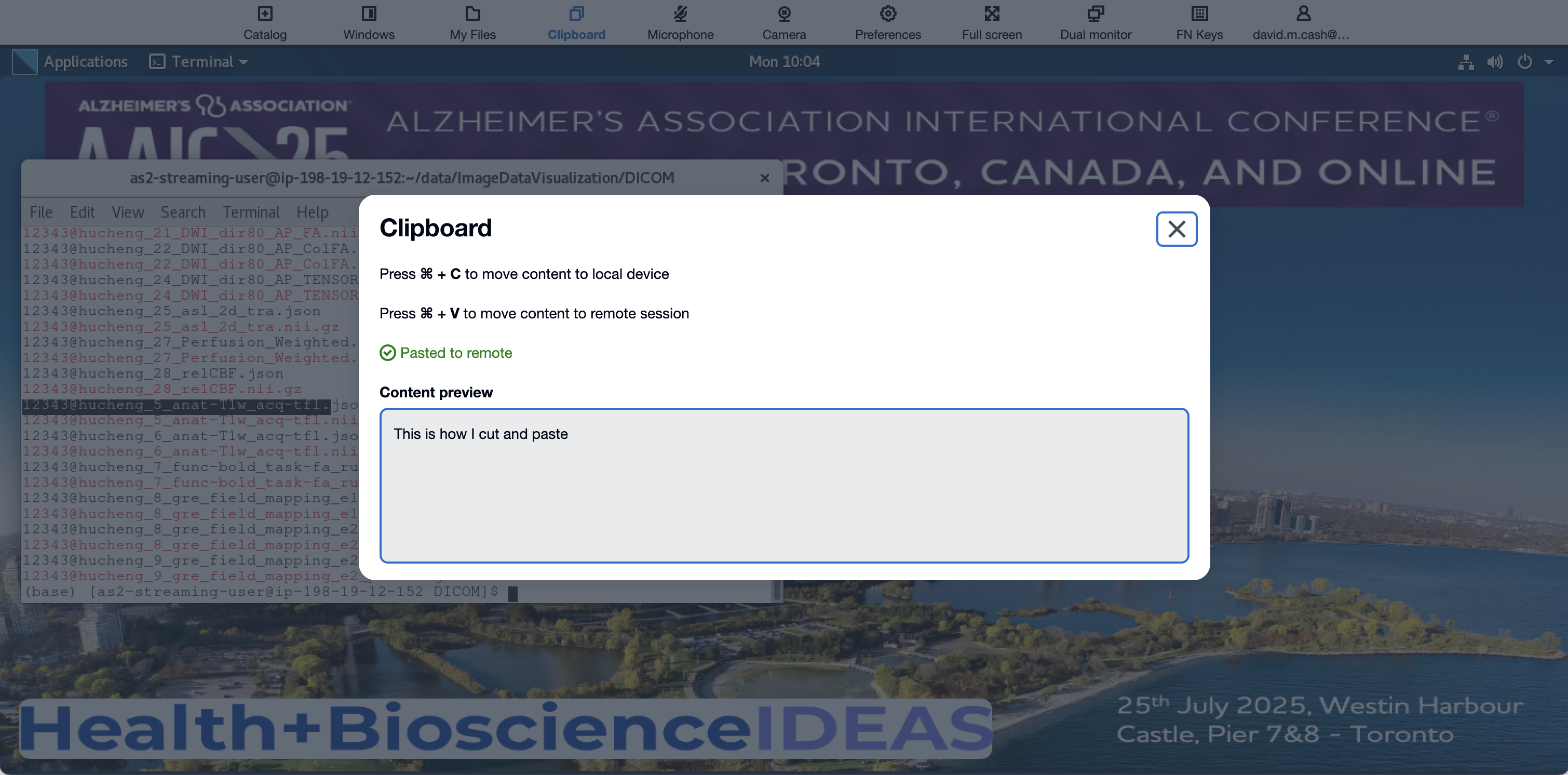 Clipboard dialog box with text pasted