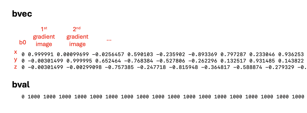 example of bval and bvec file