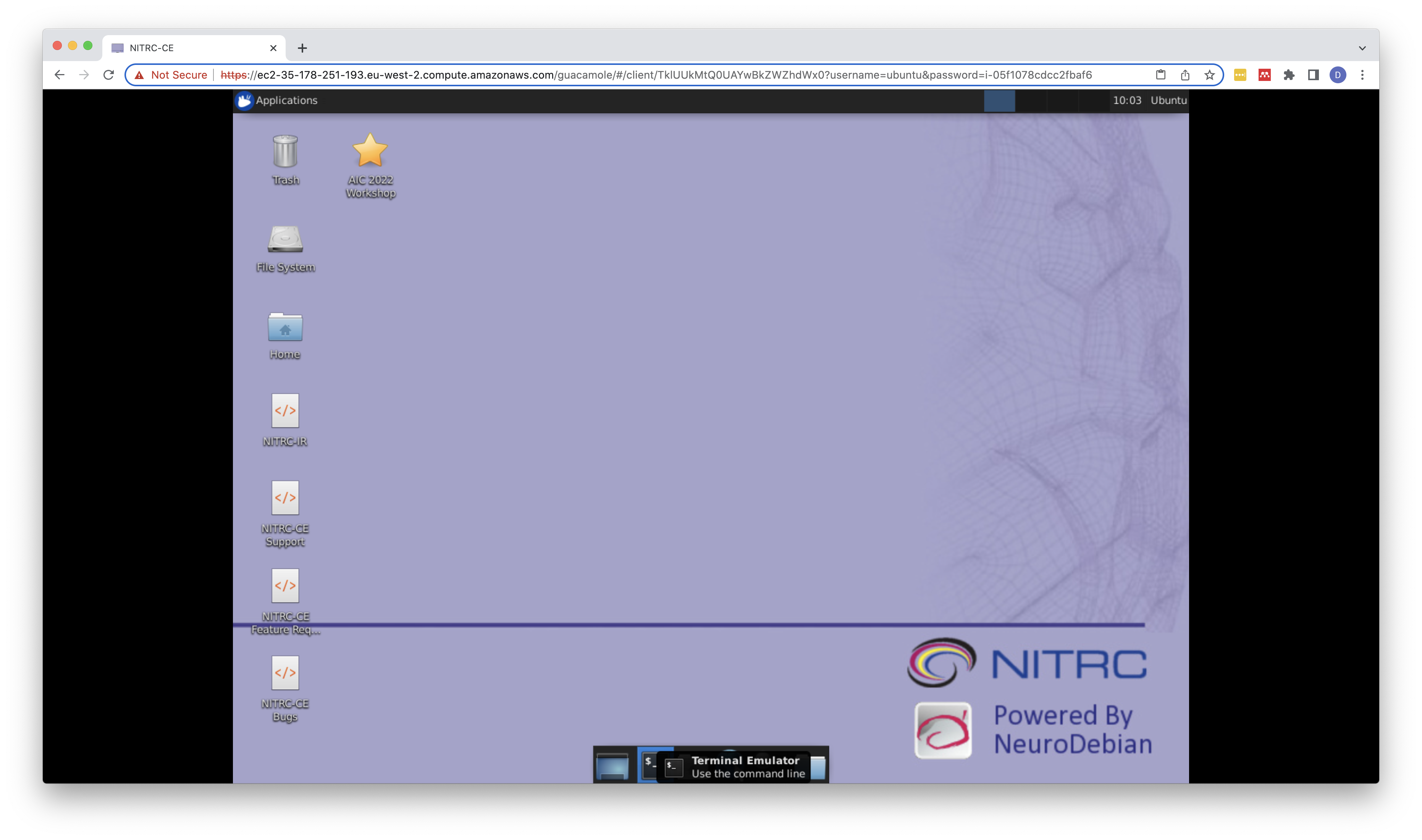 Terminal launch at bottom