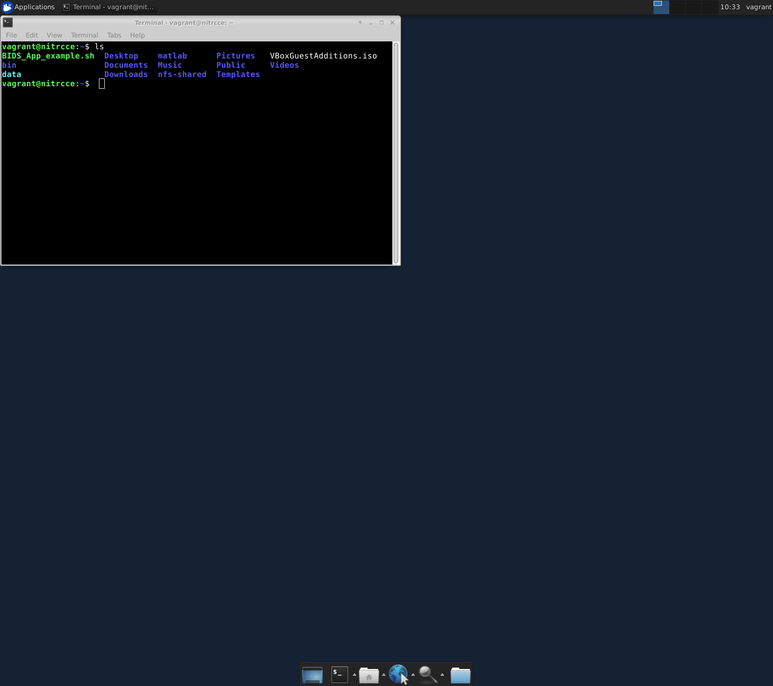 VM screenshot