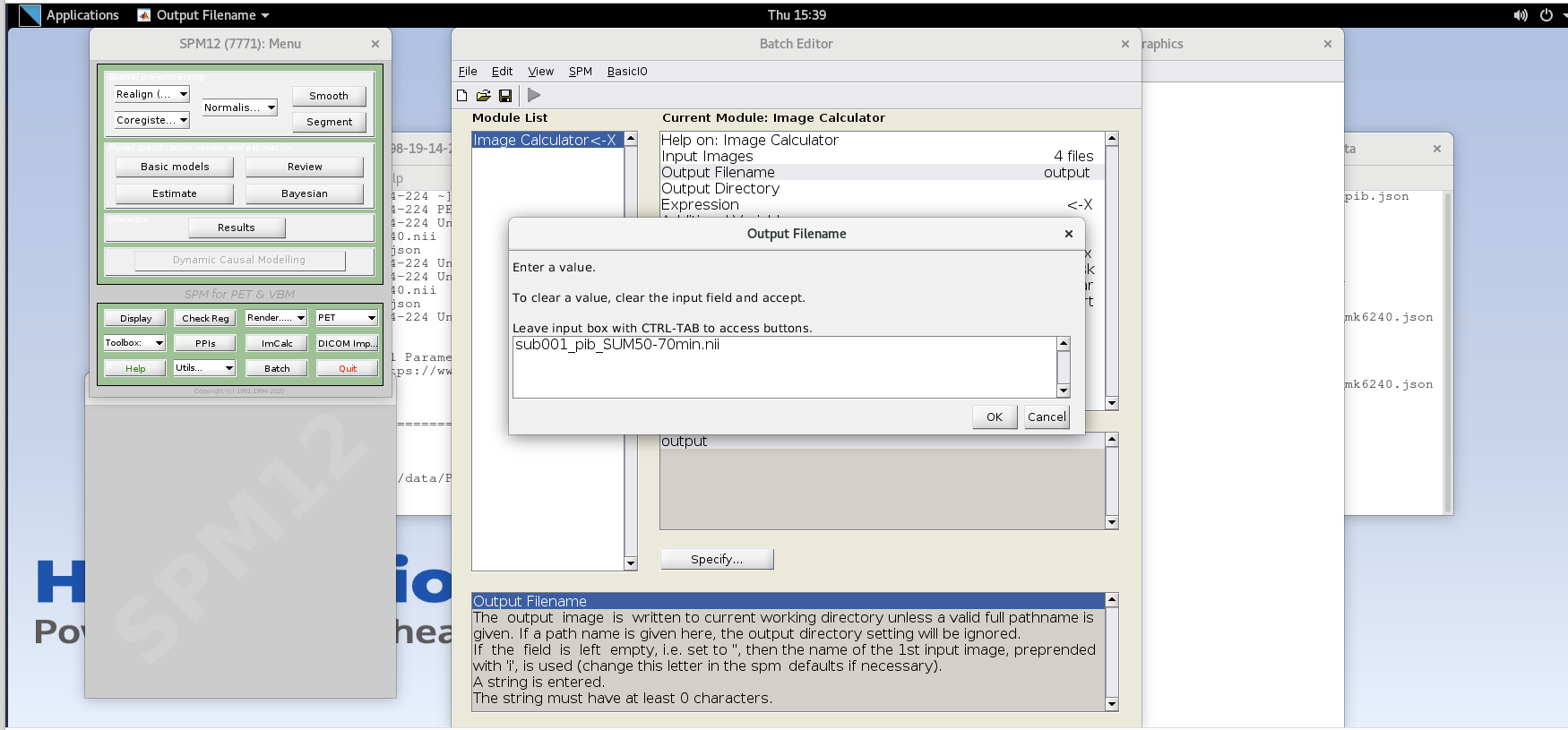 ImCalc output