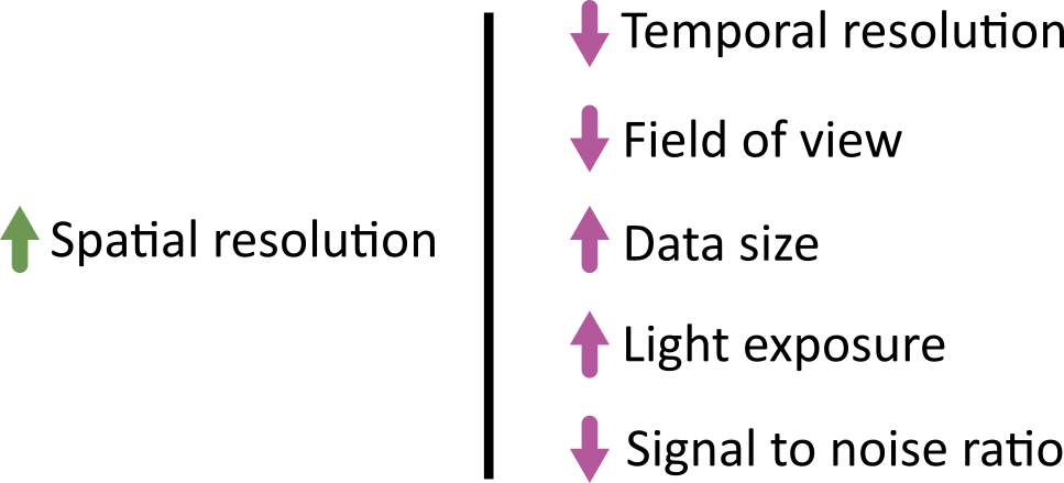 Diagram highlighting some of the  trade-offs of increasing spatial resolution