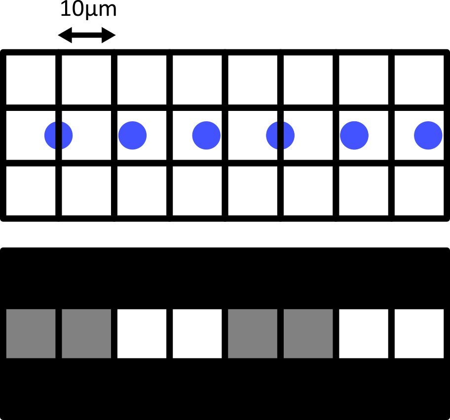 Top - a diagram of six round cells (blue, 5  micrometre wide) overlaid by a 10 micrometre pixel grid.  Bottom - the equivalent image with a grayscale colormap