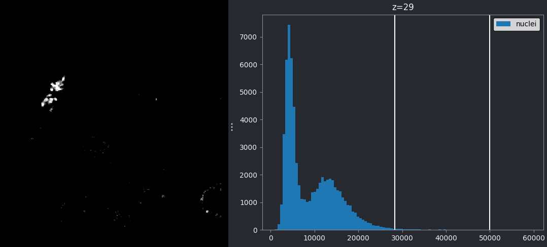 Left, nuclei with gray colormap.  Right, histogram of the same image. Both with left contrast limit set  to 28263.