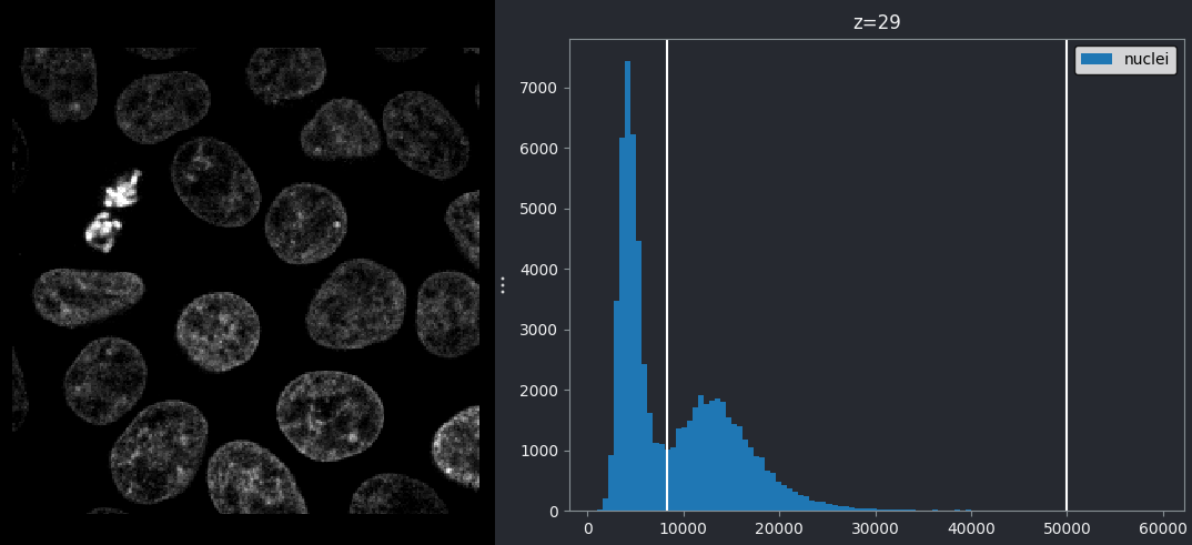 Left, nuclei with gray colormap.  Right, histogram of the same image. Both with left contrast limit set  to 8266.