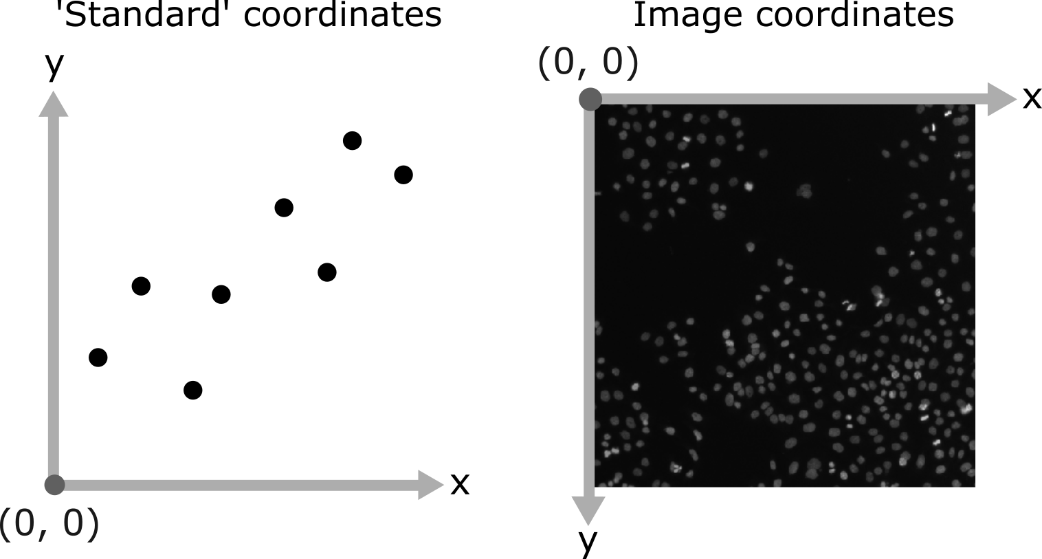 Diagram comparing a standard graph  coordinate system (left) and the image coordinate system (right)