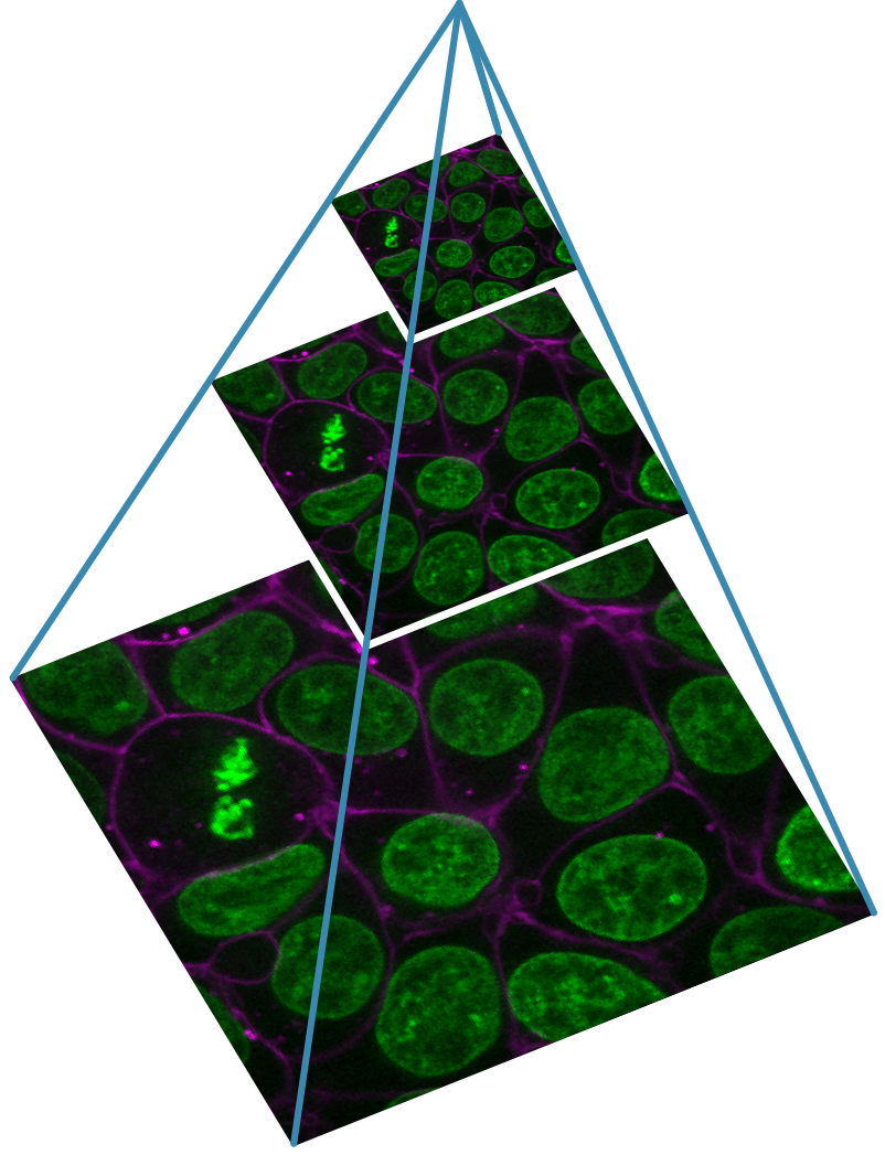 Diagram of an image pyramid with three  resolution levels