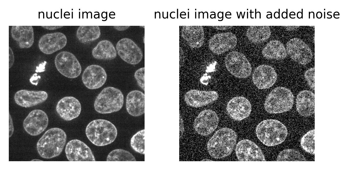 Left - the nuclei from Napari's Cells  (3D+2Ch) sample image. Right - same image with added gaussian noise