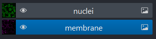 A screenshot of Napari's layer list, showing two  image layers named 'nuclei' and 'membrane'