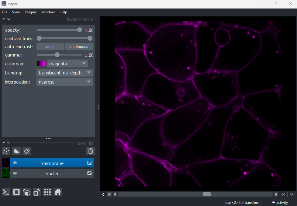 A screenshot of Napari with the nuclei and  membrane layer swapped