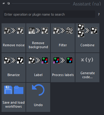 Screenshot of the Napari assistant user  interface