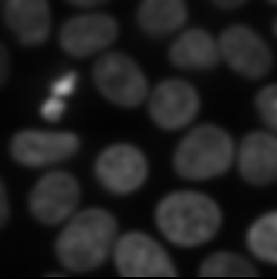 Nuclei image after gaussian blur with sigma  of 3