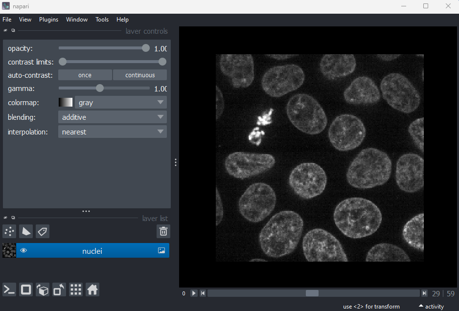 A screenshot of nuclei in Napari using  the gray colormap