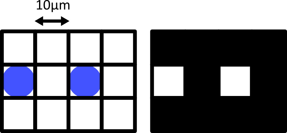 Left - a diagram of two round cells (blue, 10  micrometre wide) overlaid by a perfectly aligned 10 micrometre pixel grid.  Right - the equivalent image with a grayscale colormap