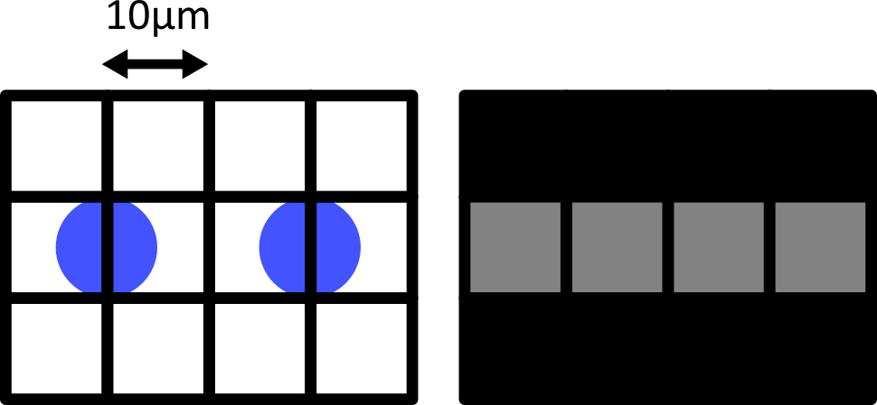 Left - a diagram of two round cells (blue, 10  micrometre wide) overlaid by a misaligned 10 micrometre pixel grid.  Right - the equivalent image with a grayscale colormap