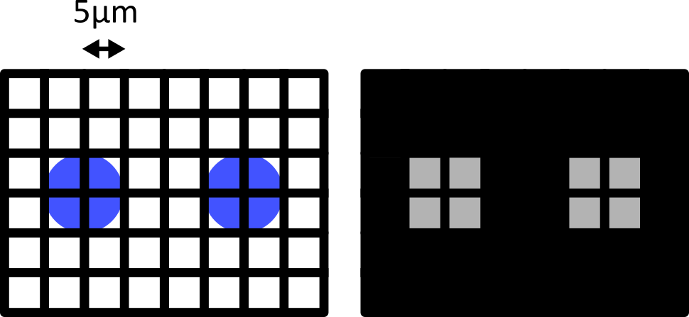 Left - a diagram of two round cells (blue, 10  micrometre wide) overlaid by a 5 micrometre pixel grid.  Right - the equivalent image with a grayscale colormap