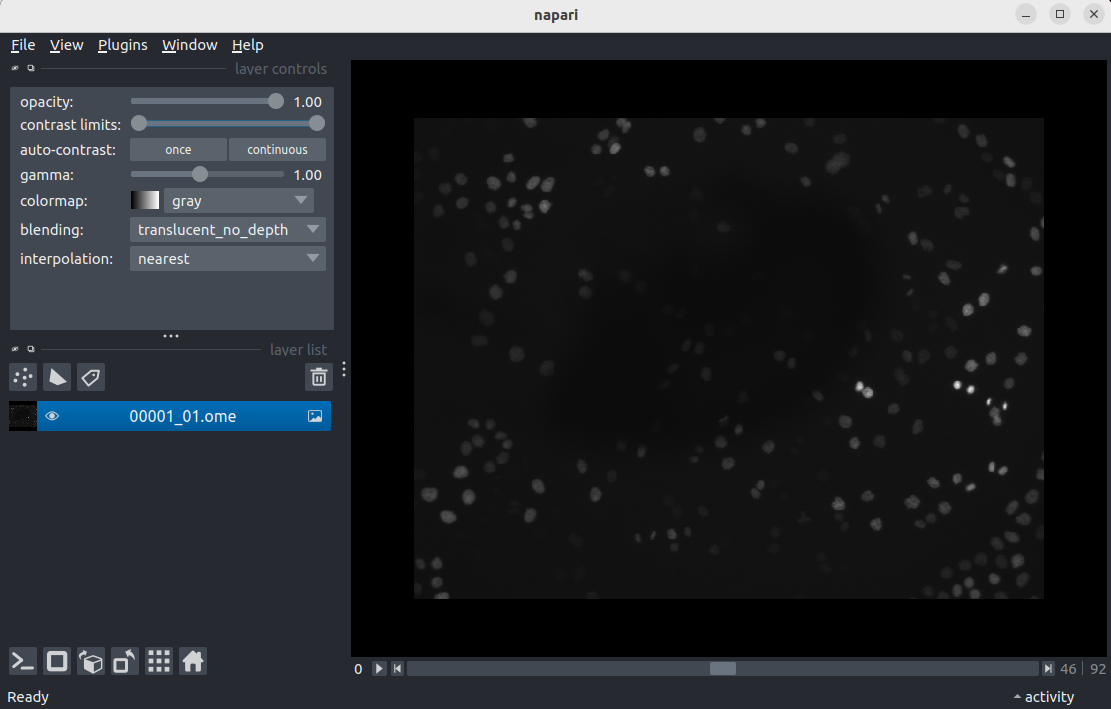 A screenshot of freshly opened 00001_01.ome.tiff