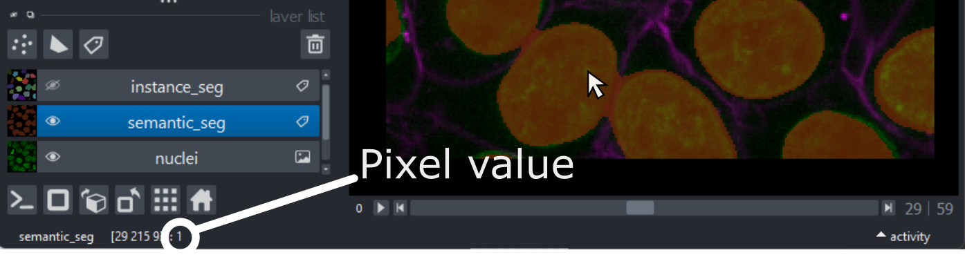 A screenshot highlighting the pixel  value of a nuclei segmentation in Napari