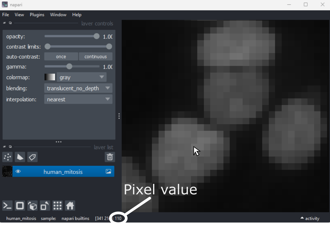 A screenshot of Napari - with the mouse cursor  hovering over a pixel and highlighting the corresponding pixel value