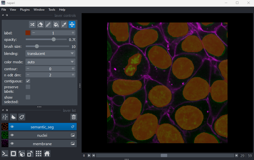 A screenshot of a rough semantic  segmentation of nuclei in Napari