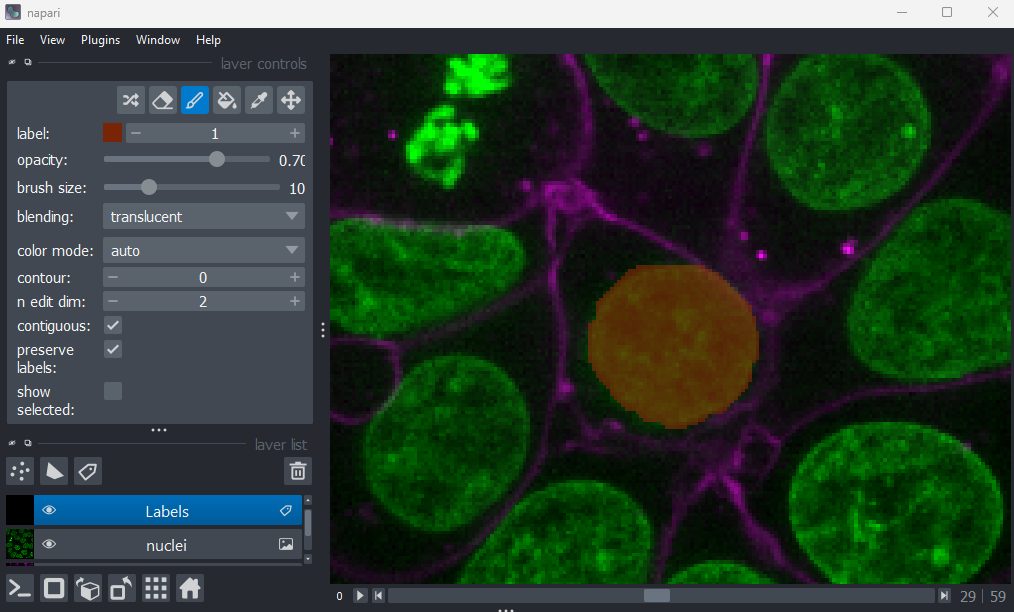 A screenshot of a single manually  painted nucleus in Napari