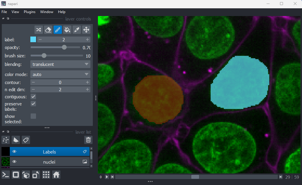 A screenshot of two manually painted nuclei  in Napari